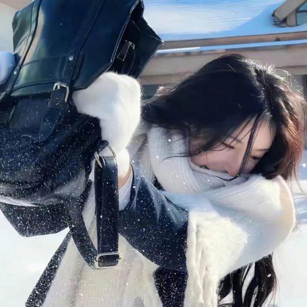 五香宫的猫